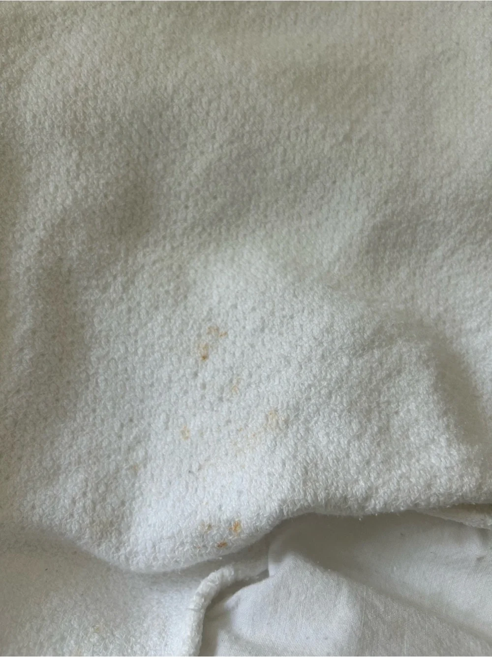 The Company Store White Textured Bedspread with Scalloped Edge